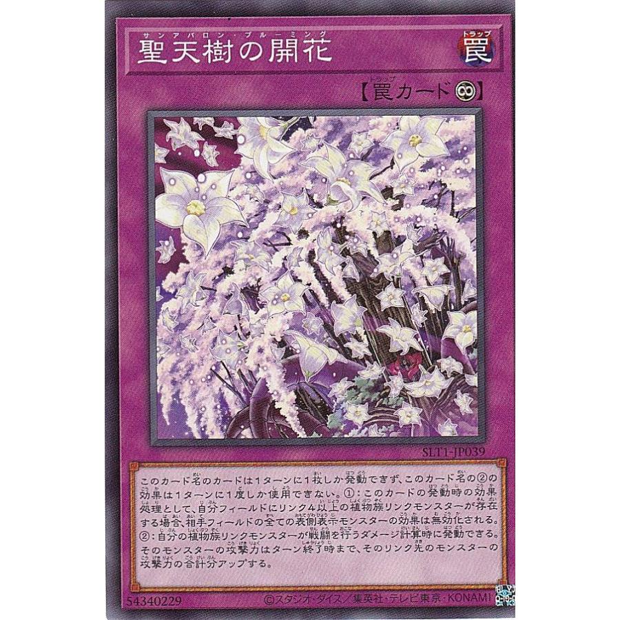 遊戯王 Slt1 Jp039 聖天樹の開花 日本語版 ノーマル セレクション Selection 10 Slttt039 トレカショップ Lead 通販 Yahoo ショッピング