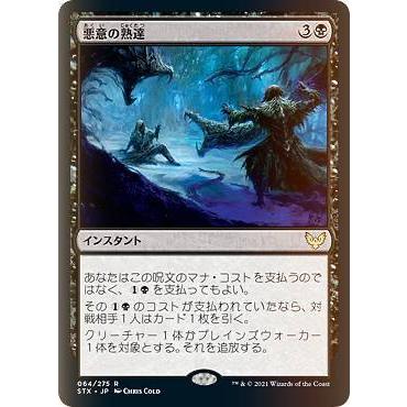 マジックザ　ギャザリング　　2枚① Amazon.co.jp: MTG マジックザギャザリング英語版スターター2000