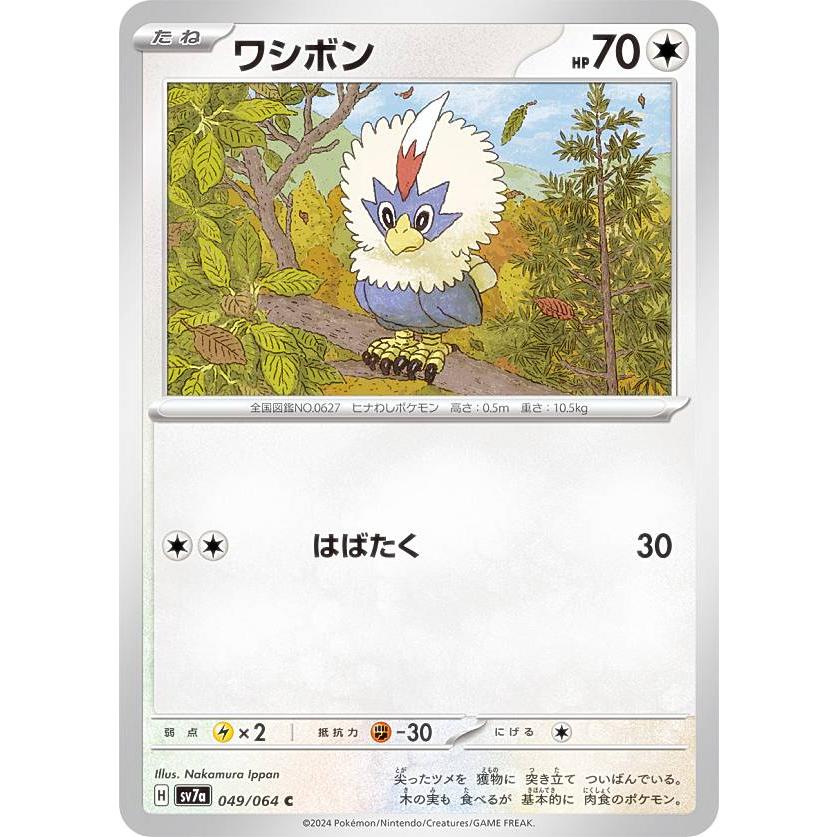 ポケモンカードゲーム SV7a 049/064 ワシボン 無 (C コモン) 強化拡張