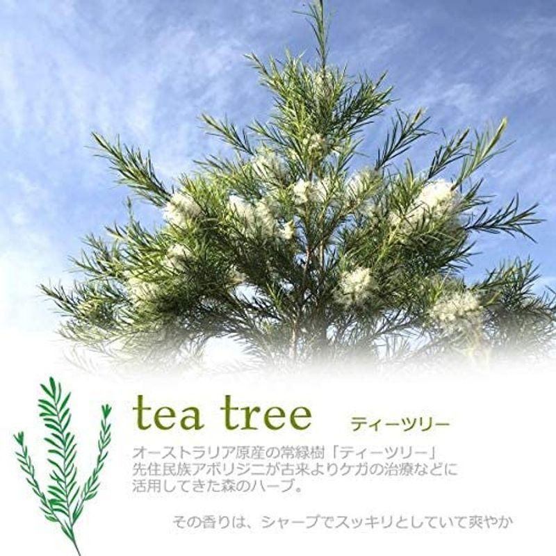 【限定品】 オーストラリア産 天然100% ティーツリーオイル 1000ml 1L アロマオイル 【H2424387211】(12983円)