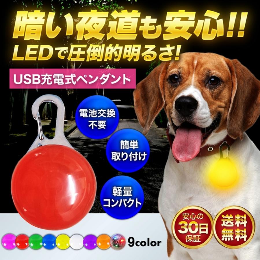 首輪 光る 光る首輪 充電式 LED ペンダント ライト ランニング ウォーキング 散歩 犬 USB の商品画像