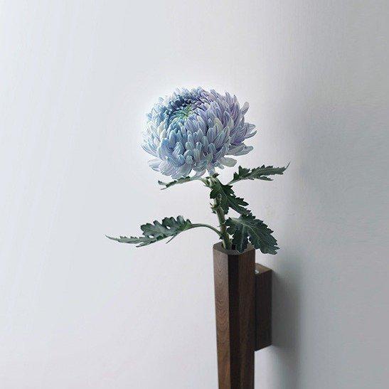 信頼 壁掛け 一輪挿し 木製 北欧 おしゃれ 花ビン 花瓶 花器 リビング 玄関 シンプル コンパクト 贈り物 ギフト プレゼント フラワーベース 壁飾り インテリア雑貨 花瓶 花器 カラー ブラウン