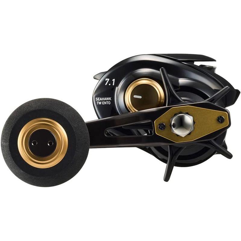 ダイワ(DAIWA) カゴ遠投用両軸リール シーホーク TW 遠投 DAIWA カゴ遠投用両軸リール シーホーク TW 遠投