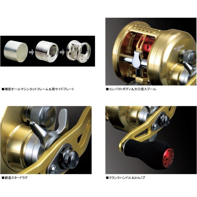 ダイワ14ミリオネア100