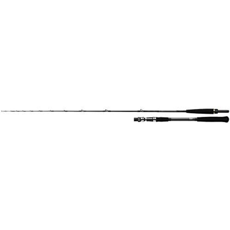 [即日発送] ダイワ(DAIWA) 船竿 メタリア ビシアジ・V MH-170・V 釣り竿 【IQ7314663817】(26057円)