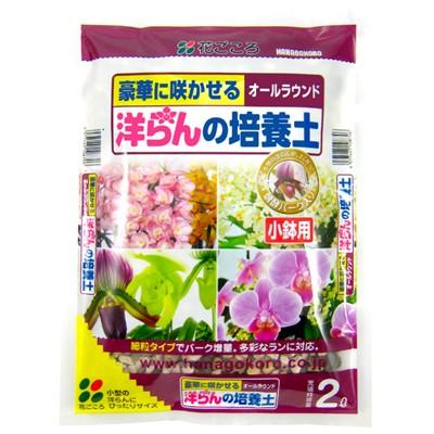 花ごころ 洋らんの培養土(小鉢用) 2L　花ごころ 洋蘭 ようらん 植え替え 水苔を使わない シンビジュウム【軽石】【ココナッツハスク】【醗酵バーク】 | 花ごころ