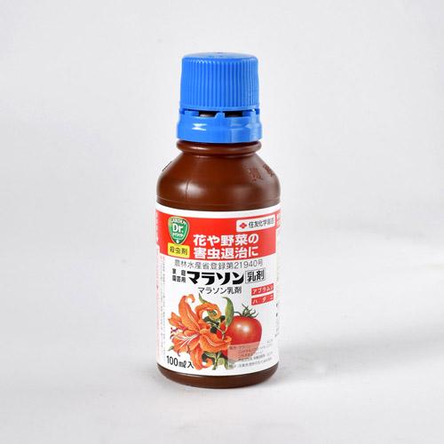 住友化学園芸 マラソン乳剤 100ml 殺虫剤 オールマイティ | KINCHO園芸