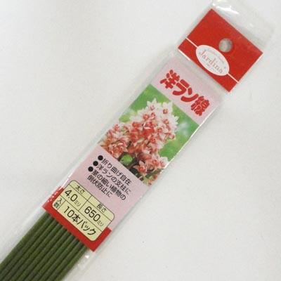 渡辺泰 洋ラン線10P 4.0×650mm | 
