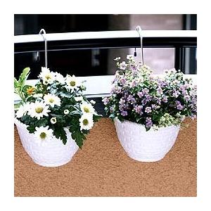 壁面プランターフック F 525 ｓブラック ニッサチェイン 5個までネコポス Leafs ヤフー店 通販 Yahoo ショッピング