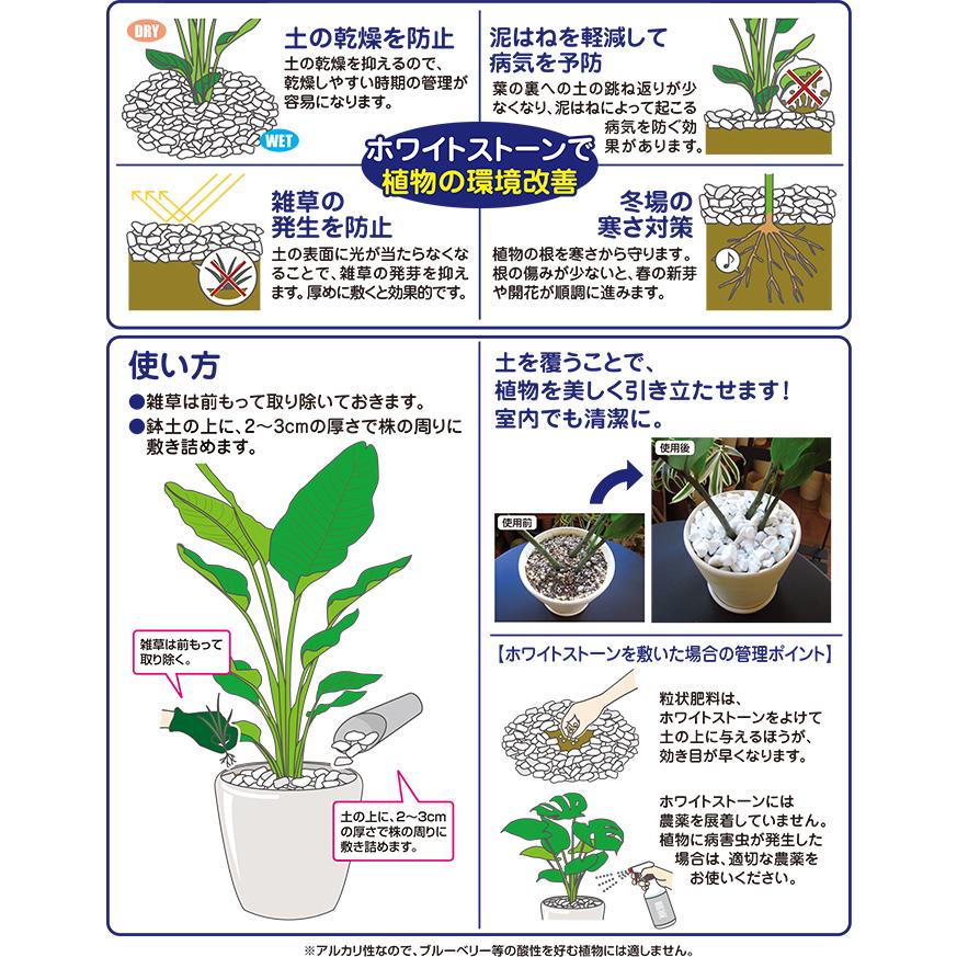 花ごころ コンテナガード ホワイトストーン 2L 化粧石 土の乾燥防止 病気予防 雑草防止 寒さ対策 | 花ごころ | 01