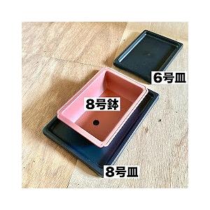 大和プラスチック販売 盆栽皿DX 8号 【1個までメール便】 盆栽専用 受け皿 山野草 | 大和プラスチック | 01