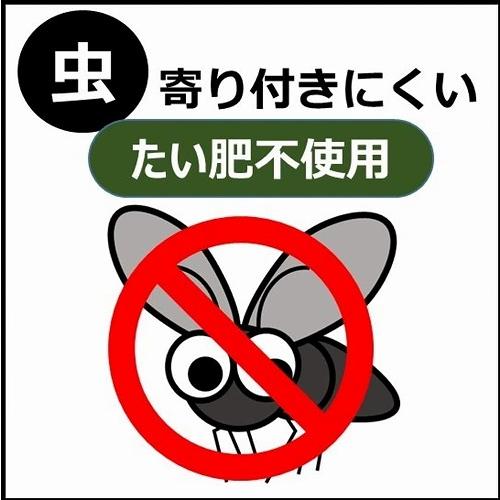 観葉植物 多肉植物 土　プロトリーフ 室内向け観葉・多肉の土 0.6Ｌ(4号鉢向け)　室内用 少量 使い切り 虫が湧きにくい |  | 02