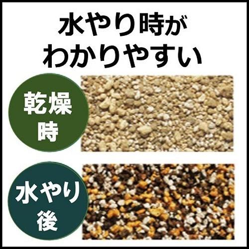 観葉植物 多肉植物 土　プロトリーフ 室内向け観葉・多肉の土 0.6Ｌ(4号鉢向け)　室内用 少量 使い切り 虫が湧きにくい |  | 06