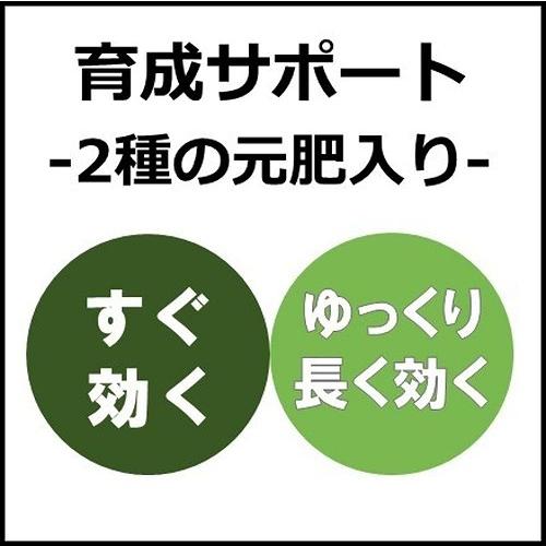 観葉植物 多肉植物 土　プロトリーフ 室内向け観葉・多肉の土 0.6Ｌ(4号鉢向け)　室内用 少量 使い切り 虫が湧きにくい |  | 08