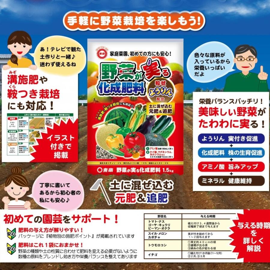 東商 野菜が実る化成肥料 500g 肥料 野菜 果実 化成肥料 | 東商