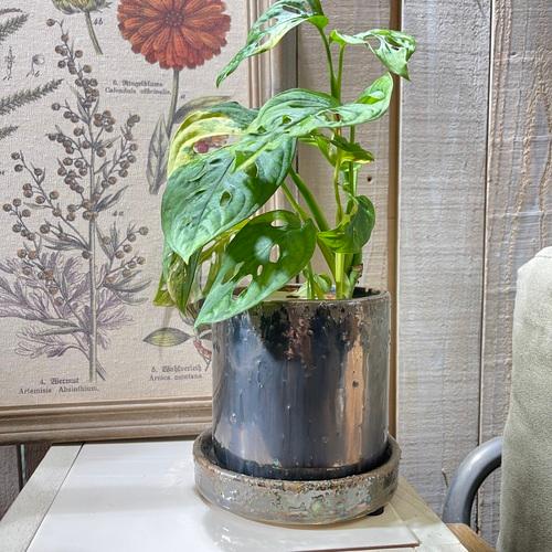 鉢　丸滉 HA-4381S 4号シリンダー 皿付 GM　プランター 可愛い　カワイイ オシャレ 観葉植物 | 