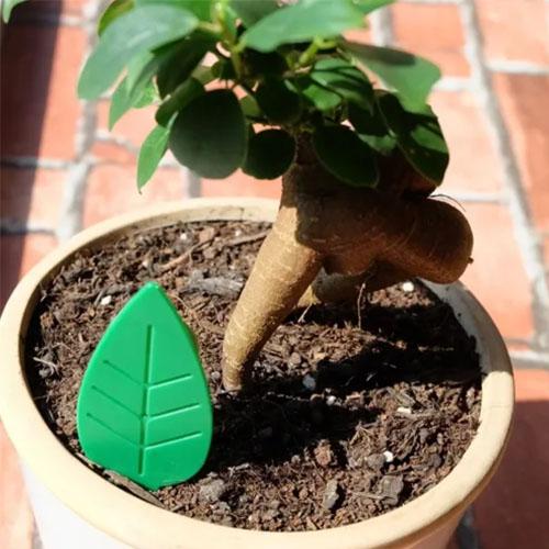 コバエ取り コバエホイホイ 観葉植物 植木鉢 捕獲 殺虫 室内 キッチン【アースガーデン Botanice(ボタニカ) 土からわいたコバエ退治 粘着タイプ(4個入)  】 | アースガーデン | 04