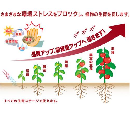 ハイポネックス ストレスブロック 500ml 希釈剤 生物刺激剤 抵抗力・免疫力UP 収穫力UP 土壌改良 サスティナブル | ハイポネックス | 01