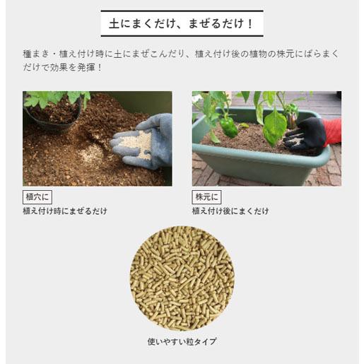 住友化学園芸 ベニカXガード粒剤 250g 粒状殺虫殺菌材 病害虫の予防 土にまくだけ 土に混ぜるだけ | KINCHO園芸 | 01
