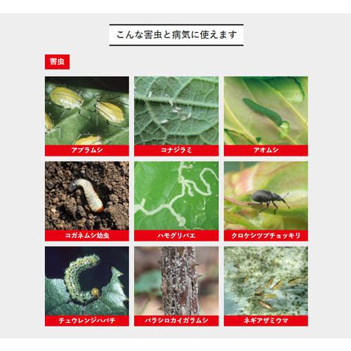 住友化学園芸 ベニカXガード粒剤 550g 粒状殺虫殺菌材 病害虫の予防 土にまくだけ 土に混ぜるだけ | KINCHO園芸 | 02