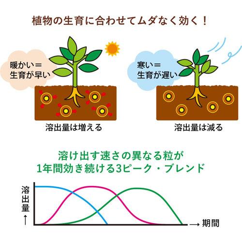 住友化学園芸 マイガーデン 粒状肥料 1.3kg 粒状化成肥料 肥料効果約1年 肥料焼けしない 土壌改良成分配合 【12個まで購入可】 | KINCHO園芸 | 01
