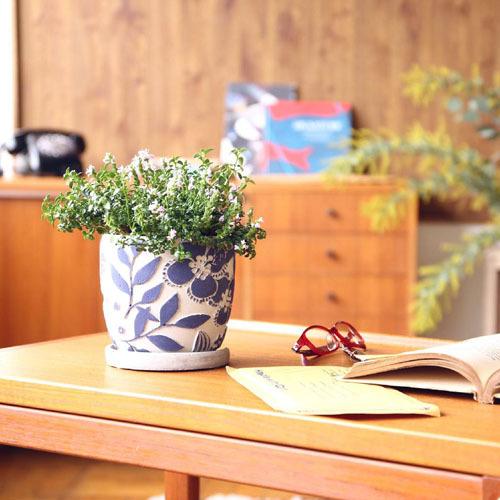 SPICE レリーフプランター ネイビーフラワー Sサイズ 鉢・プランター オシャレ 北欧風デザイン セメント スパイス ccgＺ2011 |  | 05