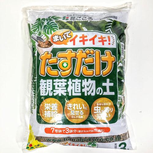 花ごころ たすだけ観葉植物の土 3L まくだけ 栄養補給 マルチ効果 虫が寄りにくい | 花ごころ
