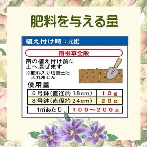 東商 クリスマスローズ・クレマチスの肥料 500g　他の宿根草にも使える 株がイキイキする 低臭 複合ミネラル入り | 東商 | 03