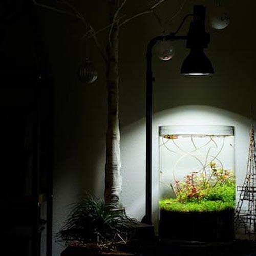 植物育成灯 アクアリウム テラリウム パルダリウム 太陽光led 水草育成 観葉植物 Barrel Amateras アマテラス Led w Barrel 1603 Leafs ヤフー店 通販 Yahoo ショッピング