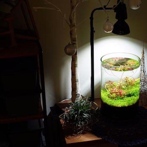 植物育成灯 アクアリウム テラリウム パルダリウム 太陽光led 水草育成 観葉植物 Barrel Amateras アマテラス Led w Barrel 1603 Leafs ヤフー店 通販 Yahoo ショッピング