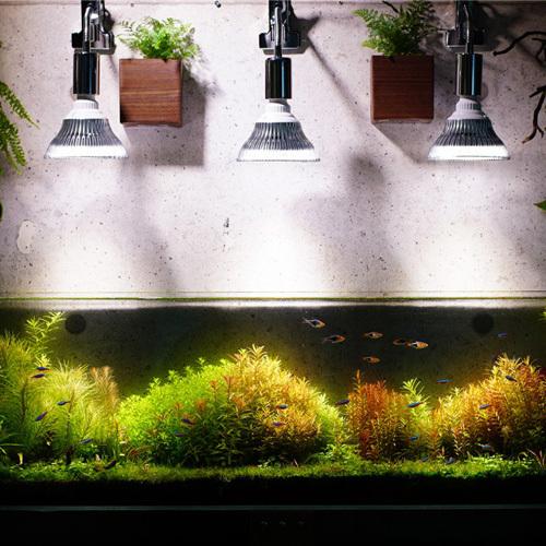 BARREL 植物育成ライト18W 6個 口径E26 /バレル 楽天市場】サン【SUN-18W】植物育成ライト BARREL plantlight18w