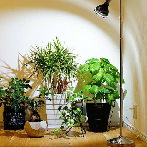 植物育成灯 アクアリウム テラリウム パルダリウム 太陽光led 水草育成 観葉植物 プラントスタンド E26 電球なし Barrel 1605 Leafs ヤフー店 通販 Yahoo ショッピング