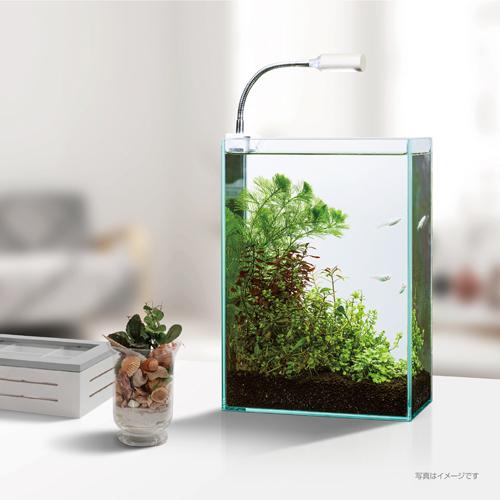 照明 アクアリウム ボトルアクア コンパクト水槽用 小型led テラリウム 明るい クリアled ピテラ Gex Leafs ヤフー店 通販 Yahoo ショッピング