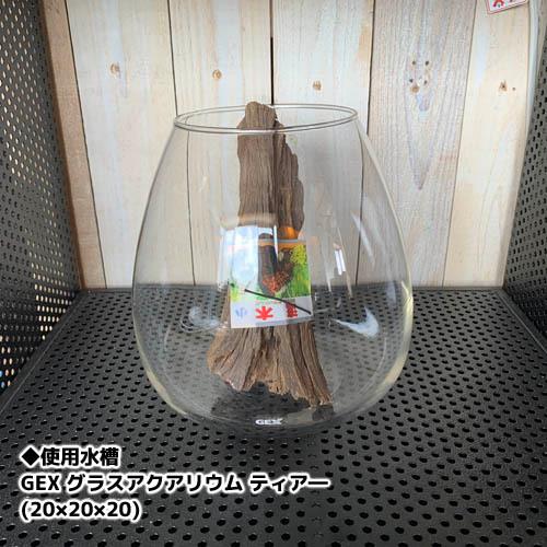 カミハタ 流木 小 形状おまかせ レイアウト素材 約20.0?25.0cm | カミハタ | 01