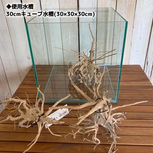 カミハタ 枝流木L ベトナム産 形状おまかせ レイアウト素材 約25.0?35.0cm ナチュラル 根っこ ブランチウッド | カミハタ | 01