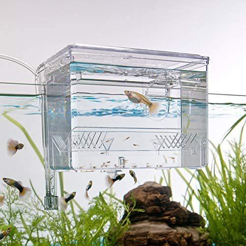 スドー サテライト アクアリウム 繁殖 隔離 ブリード 産卵 水合わせ トリートメント | スドー | 03