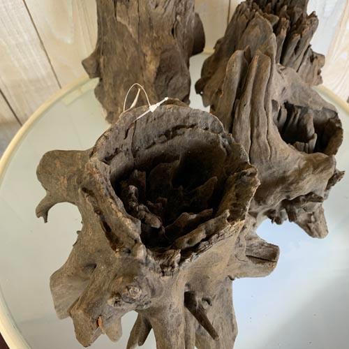 カミハタ ツリーボトムウッドM 天然流木 タイ産 切り株 朽ち木 森レイアウト 隠れ家 アピスト | カミハタ | 01