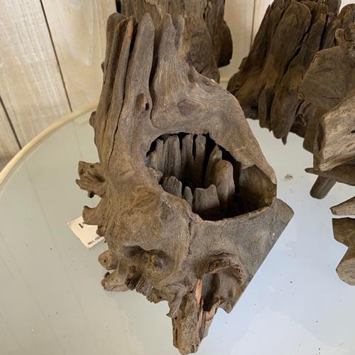 カミハタ ツリーボトムウッドM 天然流木 タイ産 切り株 朽ち木 森レイアウト 隠れ家 アピスト | カミハタ | 02