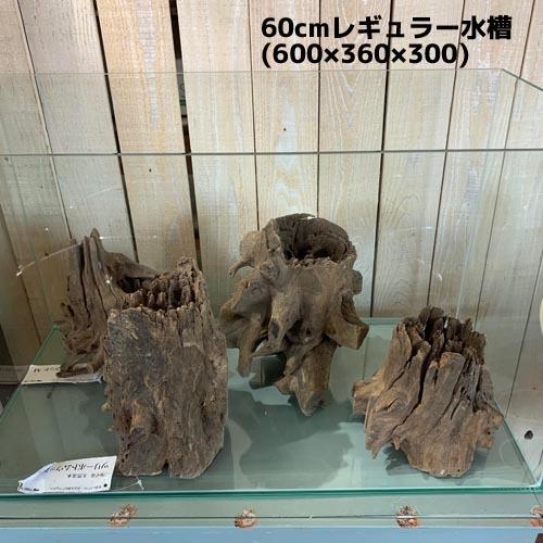 カミハタ ツリーボトムウッドM 天然流木 タイ産 切り株 朽ち木 森レイアウト 隠れ家 アピスト | カミハタ | 05