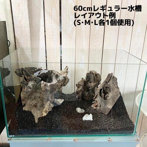 カミハタ ツリーボトムウッドM 天然流木 タイ産 切り株 朽ち木 森レイアウト 隠れ家 アピスト | カミハタ | 09