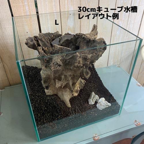 カミハタ ツリーボトムウッドXL 天然流木 タイ産 切り株 朽ち木 森レイアウト 隠れ家 アピスト | カミハタ | 05