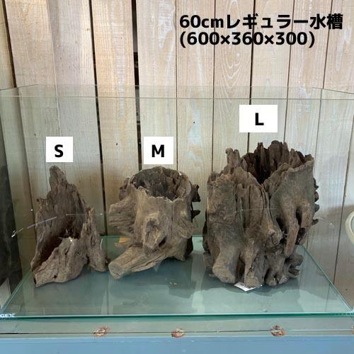 カミハタ ツリーボトムウッドXL 天然流木 タイ産 切り株 朽ち木 森レイアウト 隠れ家 アピスト | カミハタ | 06