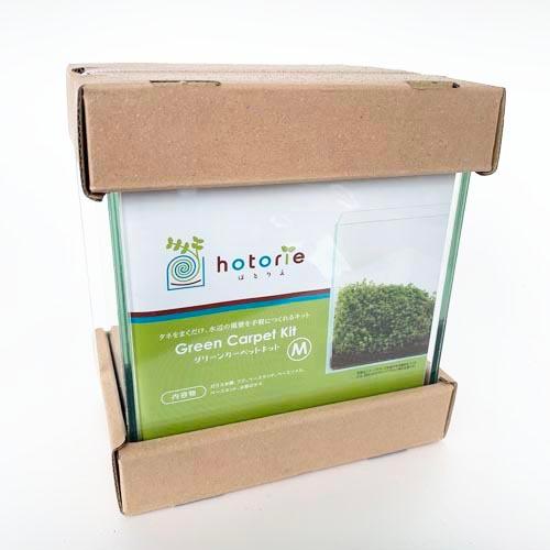 水作 ほとりえグリーンカーペットキットM テラリウム アクアリウム インテリア 栽培キット | ほとりえ