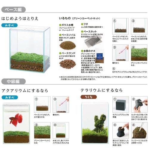 水作 ほとりえグリーンカーペットキットM テラリウム アクアリウム インテリア 栽培キット | ほとりえ | 01