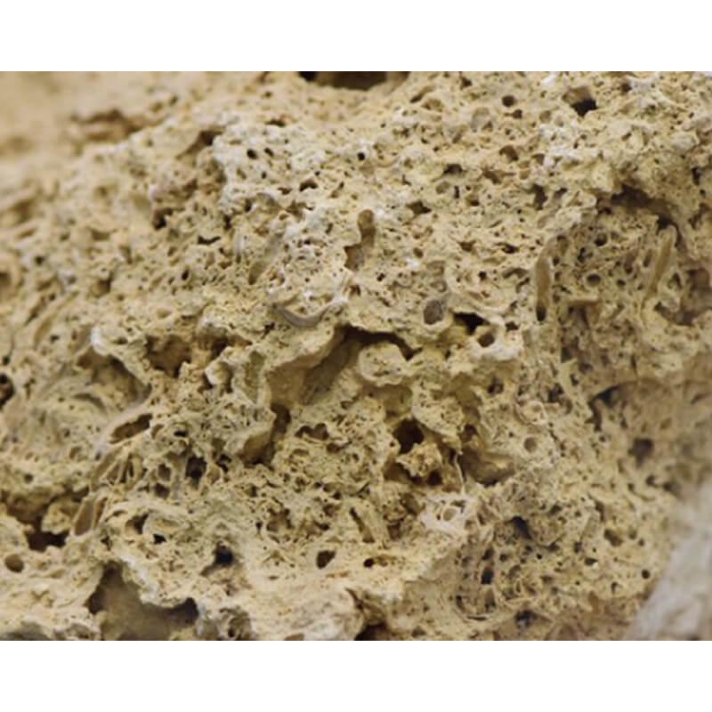 カミハタ 吸水石 中 テラリウム パルダリウム レイアウト素材 天然石 形状おまかせ | カミハタ | 02