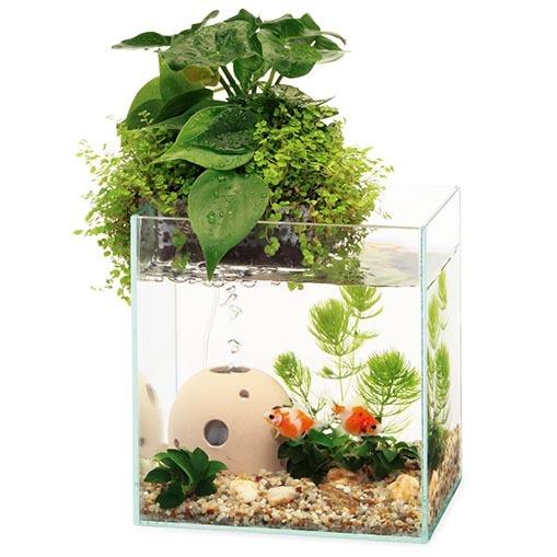 インテリア水槽 インテリアグリーン 水槽 アクアリウム 飼育容器 金魚 アクアテリア 金魚用n160 水作 Leafs ヤフー店 通販 Yahoo ショッピング