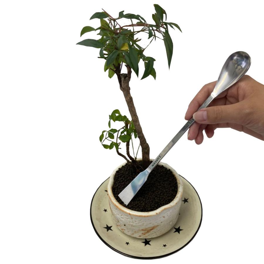 JUN スーペラ ショート 180mm テラリウム ボトリウム ボトルアクア 便利 スプーン ヘラ 植栽 | ジュン(ペット用品) | 03