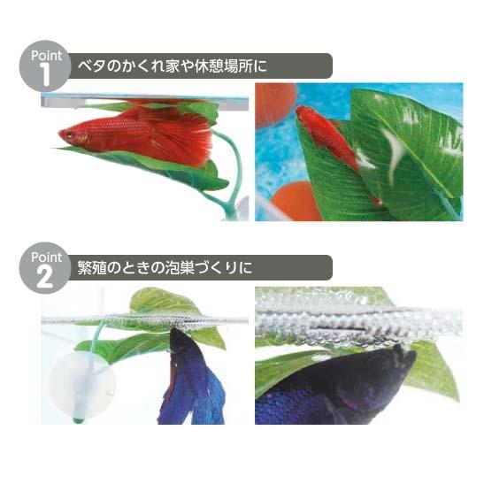 水作 ベタのおやすみリーフ 隠れ家 休憩場所 泡巣づくり | 水作 | 01