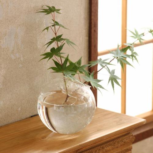 訳あり　水栽培ガラスベース クリア ラウンドドーム スパイス KEGY4080 BULB VASE 球根 水栽培 ガラス バブルベース スパイス |  | 06