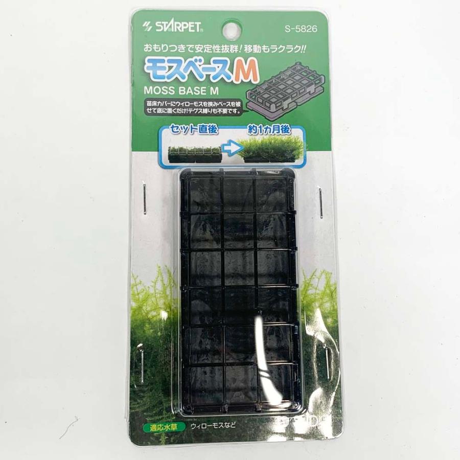 Leafs 店苗床 簡単 ウィローモス 置き型 シュリンプ 手軽 モスベースm スドー 本物品質の
